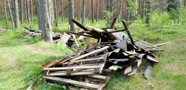 Debris Removal Service in Macon